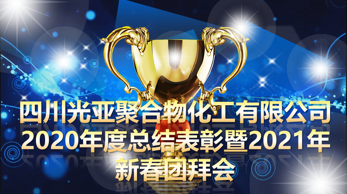 华体会体育(中国)hth·官方网站隆重召开2020年度表彰大会暨2021年新春团拜会